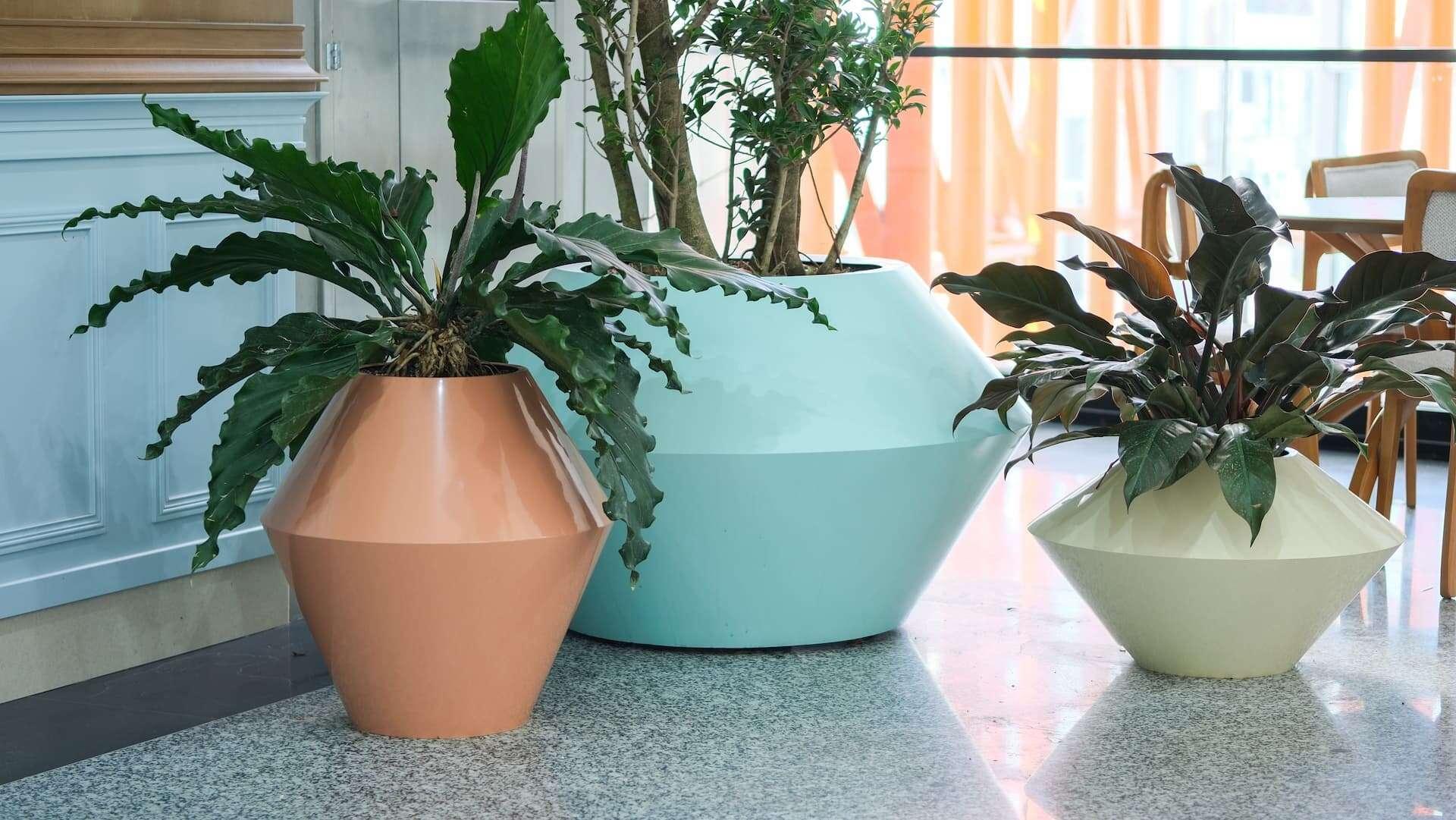 crane moving a big tree