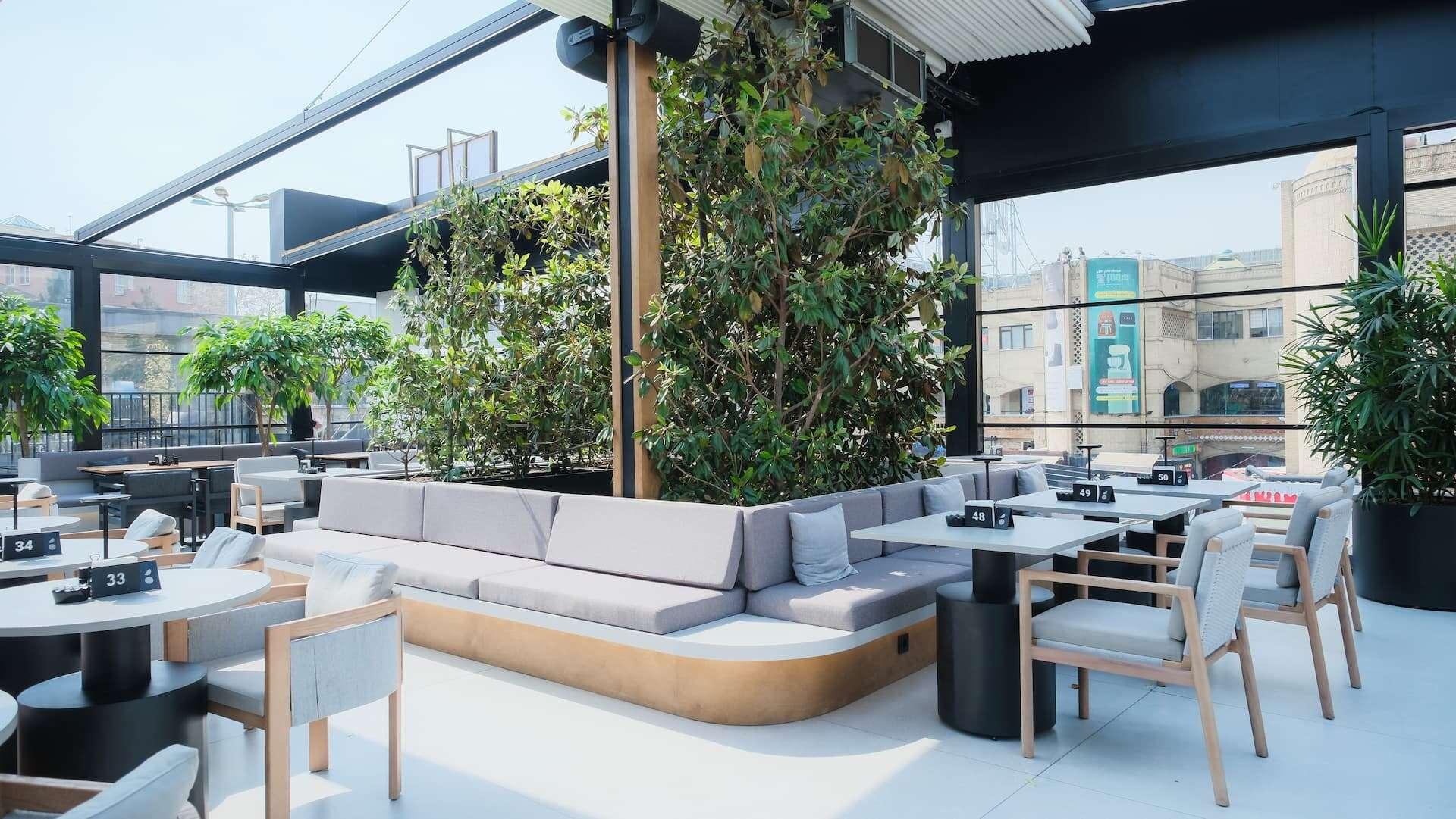 crane moving a big tree